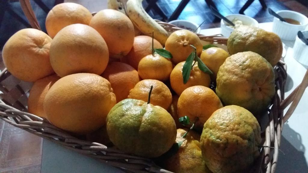Pousada Três Coroas Dış mekan fotoğraf