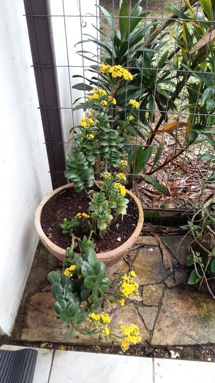 Pousada Três Coroas Dış mekan fotoğraf